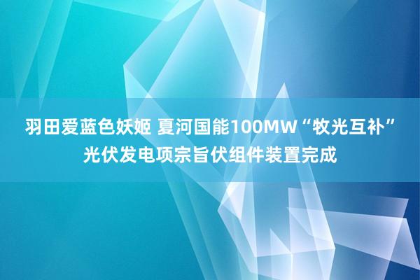 羽田爱蓝色妖姬 夏河国能100MW“牧光互补”光伏发电项宗旨伏组件装置完成