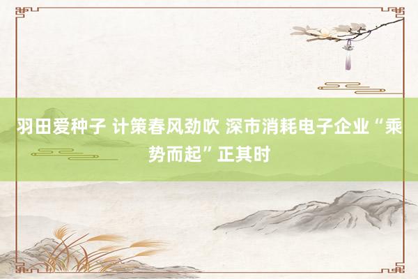 羽田爱种子 计策春风劲吹 深市消耗电子企业“乘势而起”正其时