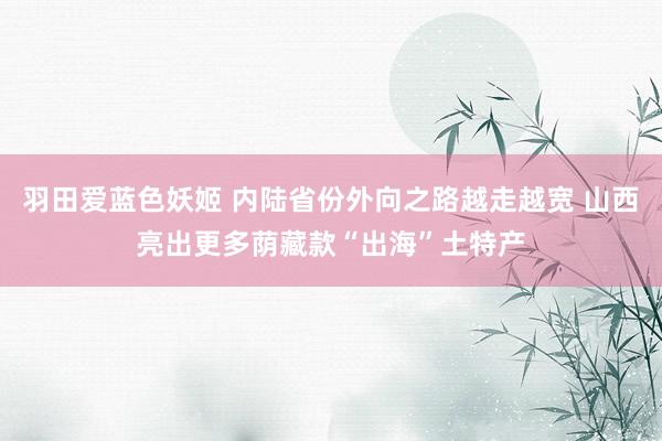 羽田爱蓝色妖姬 内陆省份外向之路越走越宽 山西亮出更多荫藏款“出海”土特产