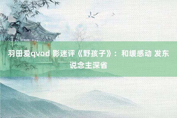 羽田爱qvod 影迷评《野孩子》：和缓感动 发东说念主深省