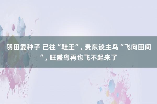 羽田爱种子 已往“鞋王”， 贵东谈主鸟“飞向田间”， 旺盛鸟再也飞不起来了