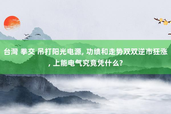 台灣 拳交 吊打阳光电源， 功绩和走势双双逆市狂涨， 上能电气究竟凭什么?