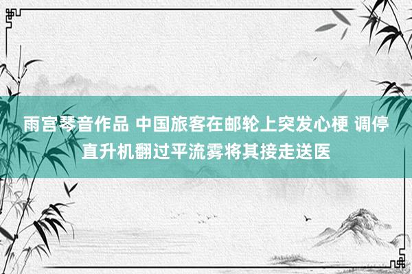 雨宫琴音作品 中国旅客在邮轮上突发心梗 调停直升机翻过平流雾将其接走送医