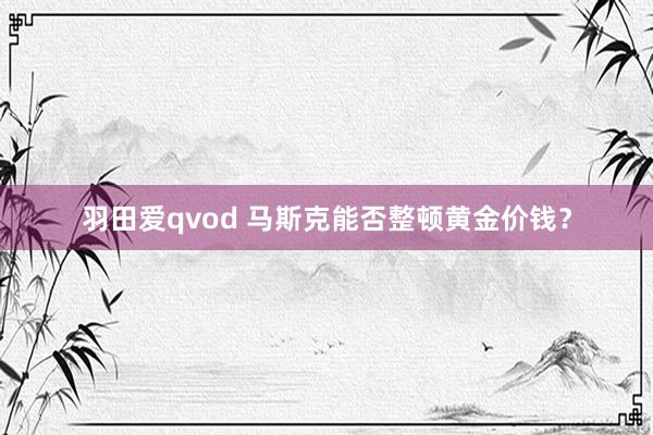 羽田爱qvod 马斯克能否整顿黄金价钱？