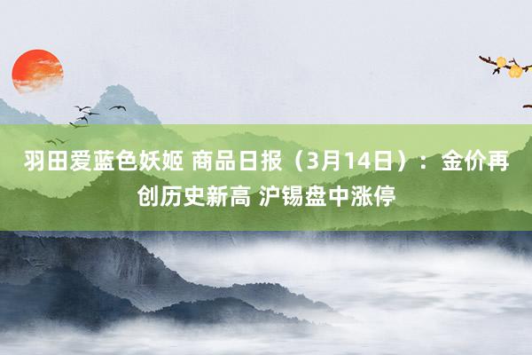 羽田爱蓝色妖姬 商品日报（3月14日）：金价再创历史新高 沪锡盘中涨停