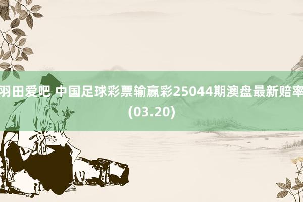 羽田爱吧 中国足球彩票输赢彩25044期澳盘最新赔率(03.20)
