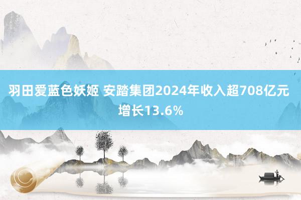 羽田爱蓝色妖姬 安踏集团2024年收入超708亿元 增长13.6%