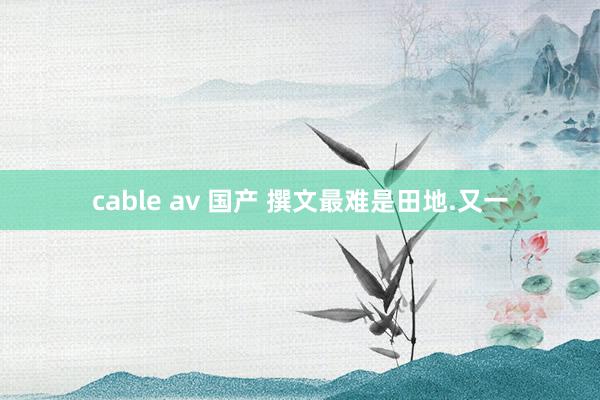 cable av 国产 撰文最难是田地.又一