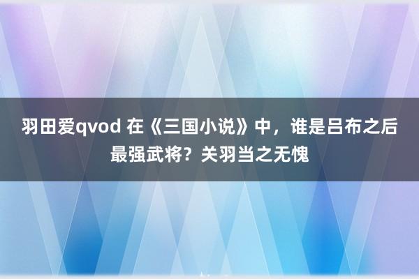 羽田爱qvod 在《三国小说》中，谁是吕布之后最强武将？关羽当之无愧