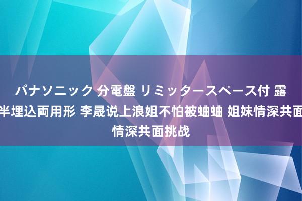 パナソニック 分電盤 リミッタースペース付 露出・半埋込両用形 李晟说上浪姐不怕被蛐蛐 姐妹情深共面挑战
