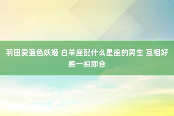 羽田爱蓝色妖姬 白羊座配什么星座的男生 互相好感一拍即合