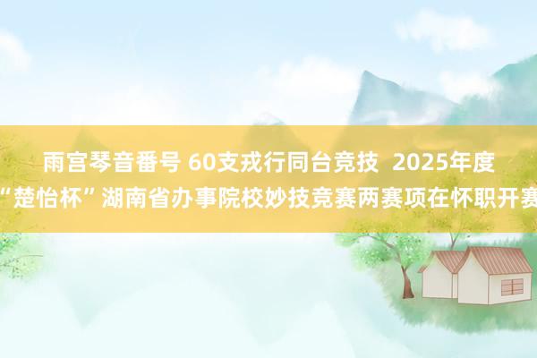 雨宫琴音番号 60支戎行同台竞技  2025年度“楚怡杯”湖南省办事院校妙技竞赛两赛项在怀职开赛