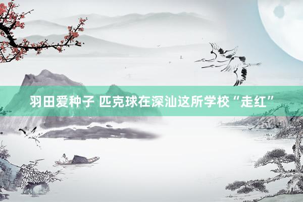 羽田爱种子 匹克球在深汕这所学校“走红”