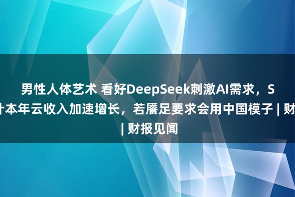 男性人体艺术 看好DeepSeek刺激AI需求，SAP预计本年云收入加速增长，若餍足要求会用中国模子 | 财报见闻