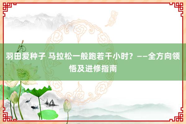 羽田爱种子 马拉松一般跑若干小时？——全方向领悟及进修指南