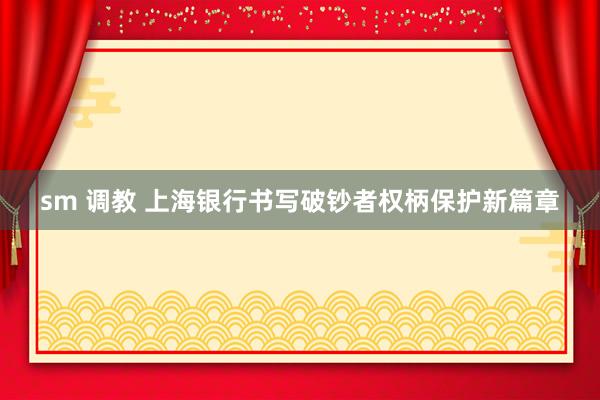sm 调教 上海银行书写破钞者权柄保护新篇章
