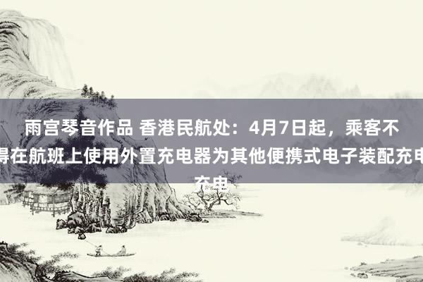 雨宫琴音作品 香港民航处：4月7日起，乘客不得在航班上使用外置充电器为其他便携式电子装配充电