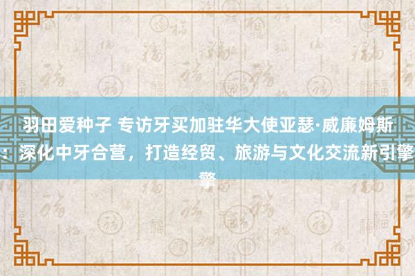 羽田爱种子 专访牙买加驻华大使亚瑟·威廉姆斯：深化中牙合营，打造经贸、旅游与文化交流新引擎