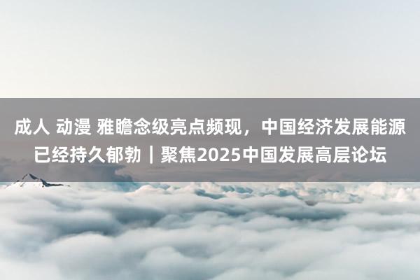 成人 动漫 雅瞻念级亮点频现，中国经济发展能源已经持久郁勃｜聚焦2025中国发展高层论坛