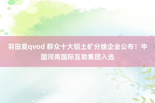 羽田爱qvod 群众十大铝土矿分娩企业公布！中国河南国际互助集团入选