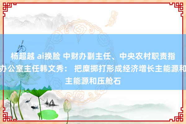 杨超越 ai换脸 中财办副主任、中央农村职责指引小组办公室主任韩文秀： 把糜掷打形成经济增长主能源和压舱石