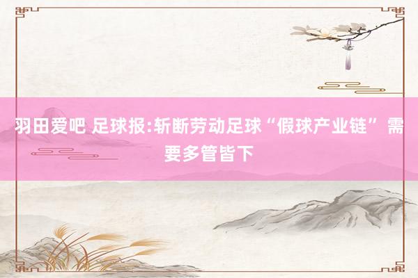 羽田爱吧 足球报:斩断劳动足球“假球产业链” 需要多管皆下