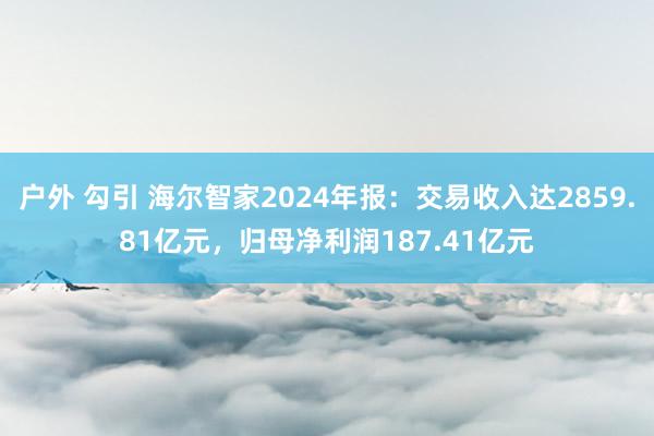 户外 勾引 海尔智家2024年报：交易收入达2859.81亿元，归母净利润187.41亿元