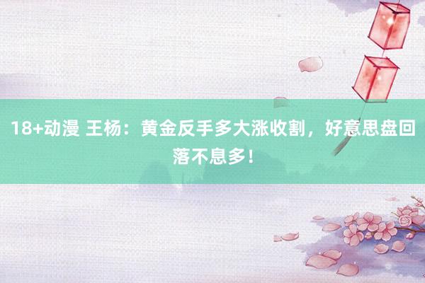 18+动漫 王杨：黄金反手多大涨收割，好意思盘回落不息多！