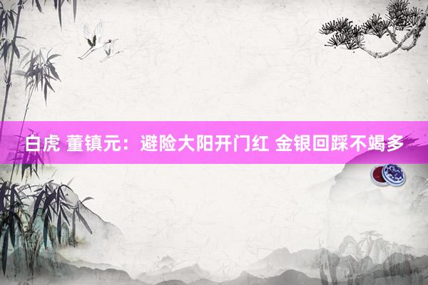 白虎 董镇元：避险大阳开门红 金银回踩不竭多
