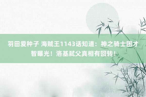 羽田爱种子 海贼王1143话知道：神之骑士团才智曝光！洛基弑父真相有回转！