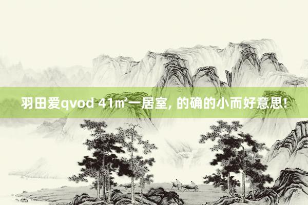 羽田爱qvod 41㎡一居室， 的确的小而好意思!