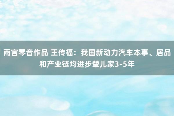 雨宫琴音作品 王传福：我国新动力汽车本事、居品和产业链均进步辇儿家3-5年