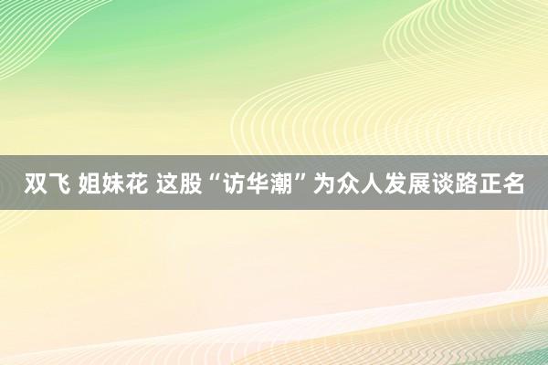 双飞 姐妹花 这股“访华潮”为众人发展谈路正名