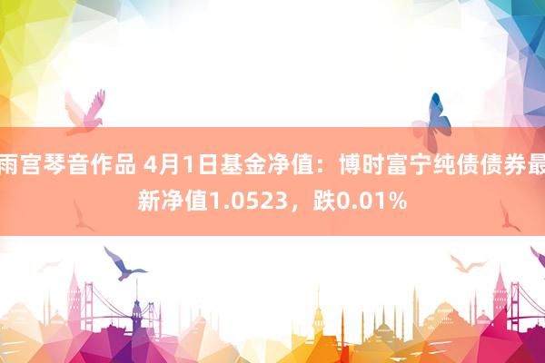 雨宫琴音作品 4月1日基金净值：博时富宁纯债债券最新净值1.0523，跌0.01%