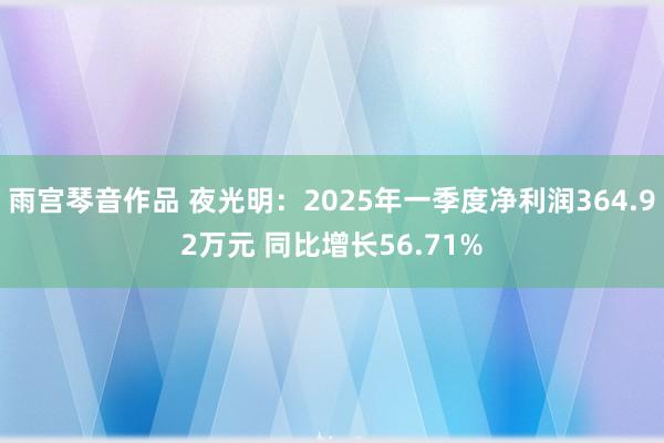 雨宫琴音作品 夜光明：2025年一季度净利润364.92万元 同比增长56.71%