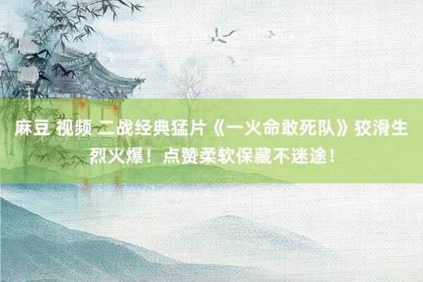 麻豆 视频 二战经典猛片《一火命敢死队》狡滑生烈火爆！点赞柔软保藏不迷途！