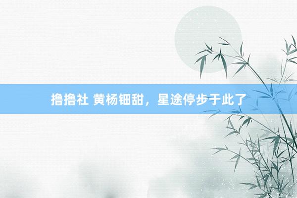 撸撸社 黄杨钿甜，星途停步于此了